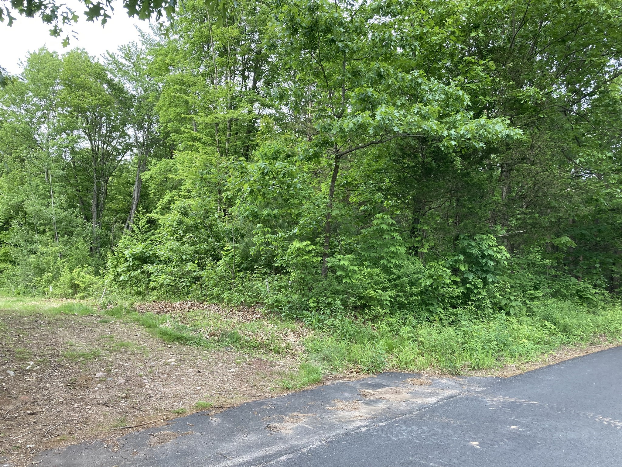0 West Road Westfield, MA 01085 - Photo 9 of 23 Gallery Image 9