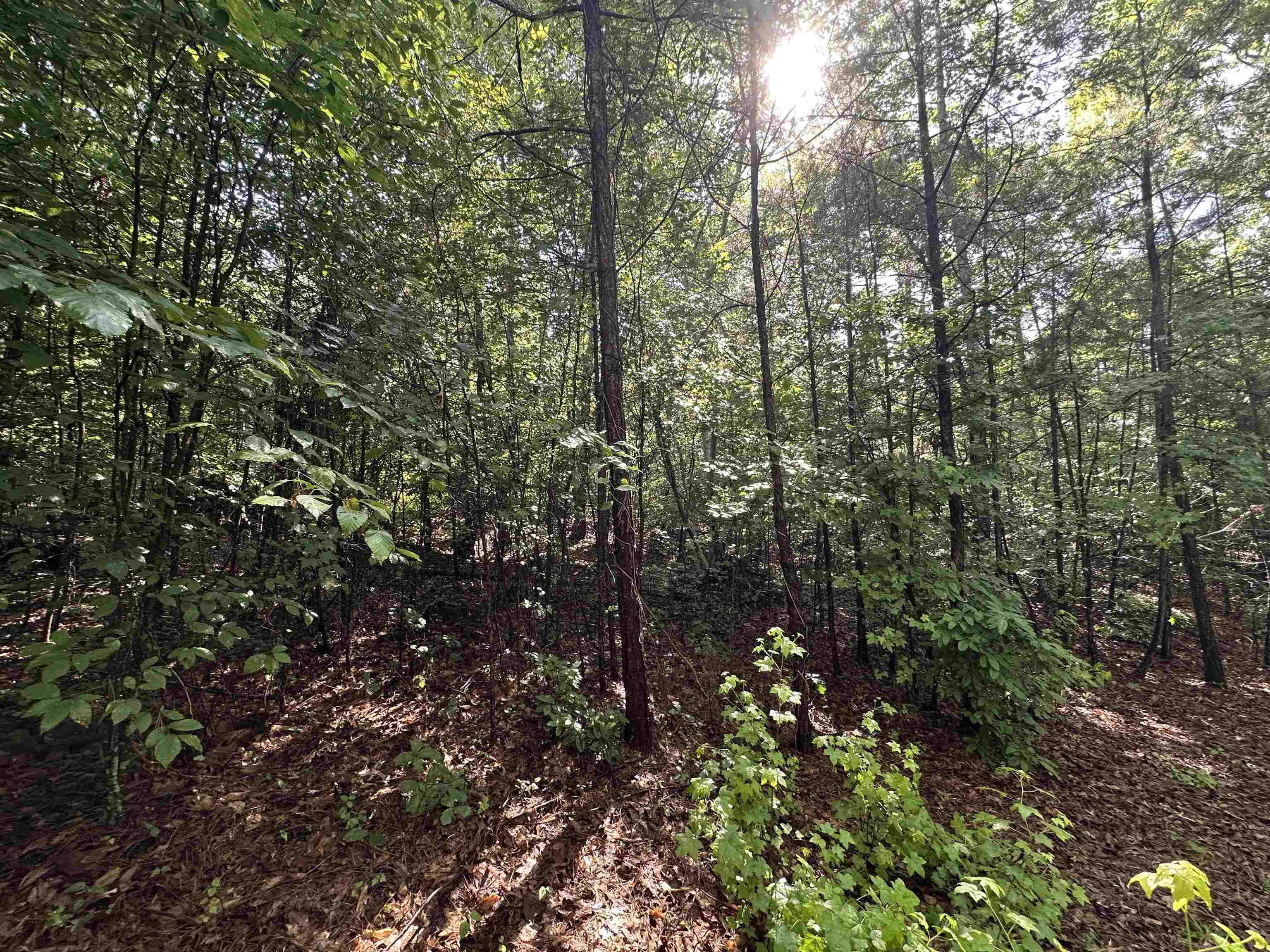 Old Buncombe Road Union, SC 29379 - Photo 3 of 4