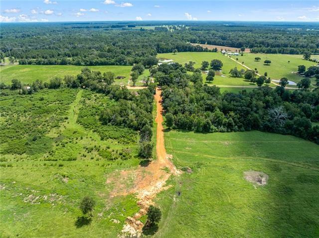 60412 Ruth Holton Road Amite, LA 70422 - Photo 13 of 16