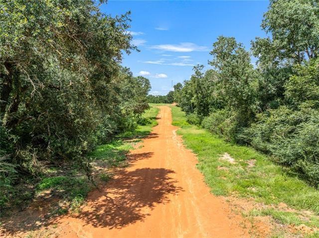 60412 Ruth Holton Road Amite, LA 70422 - Photo 14 of 16