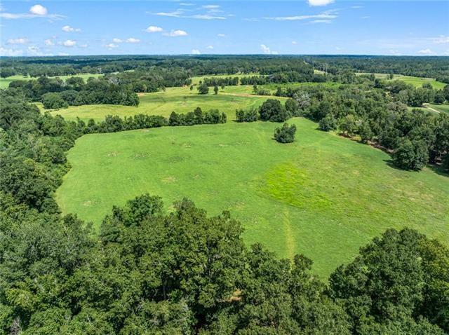 60412 Ruth Holton Road Amite, LA 70422 - Photo 2 of 16