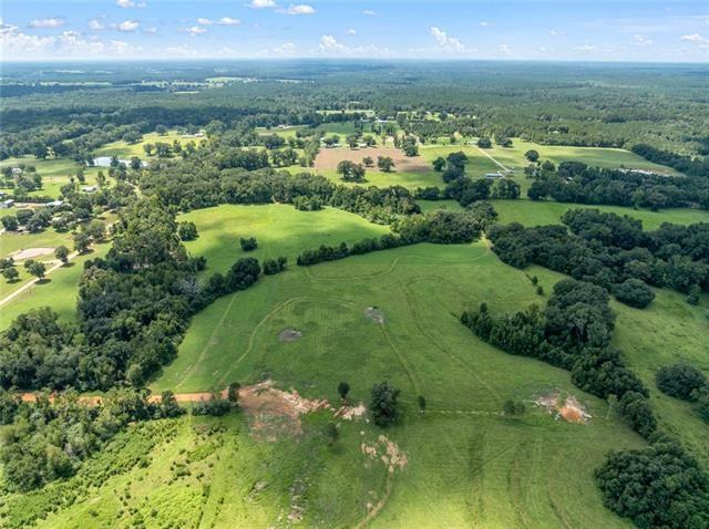 60412 Ruth Holton Road Amite, LA 70422 - Photo 4 of 16