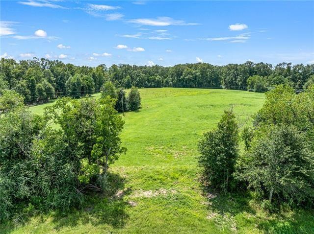 60412 Ruth Holton Road Amite, LA 70422 - Photo 5 of 16