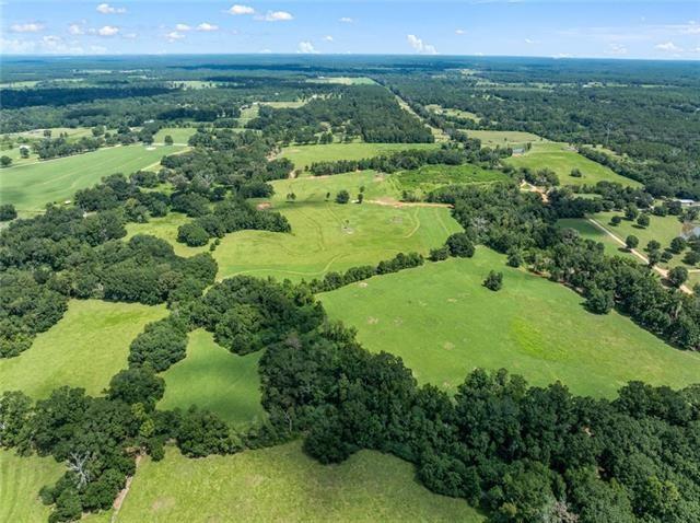 60412 Ruth Holton Road Amite, LA 70422 - Photo 9 of 16