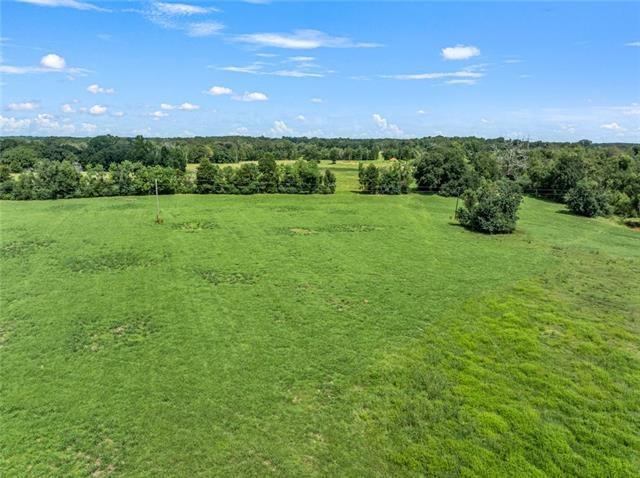 60412 Ruth Holton Road Amite, LA 70422 - Photo 10 of 16