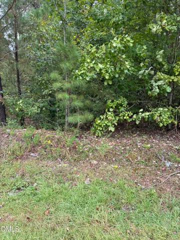 a big yard with lots of green space and deers