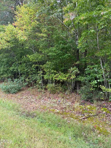 a view of a yard with plants and large trees