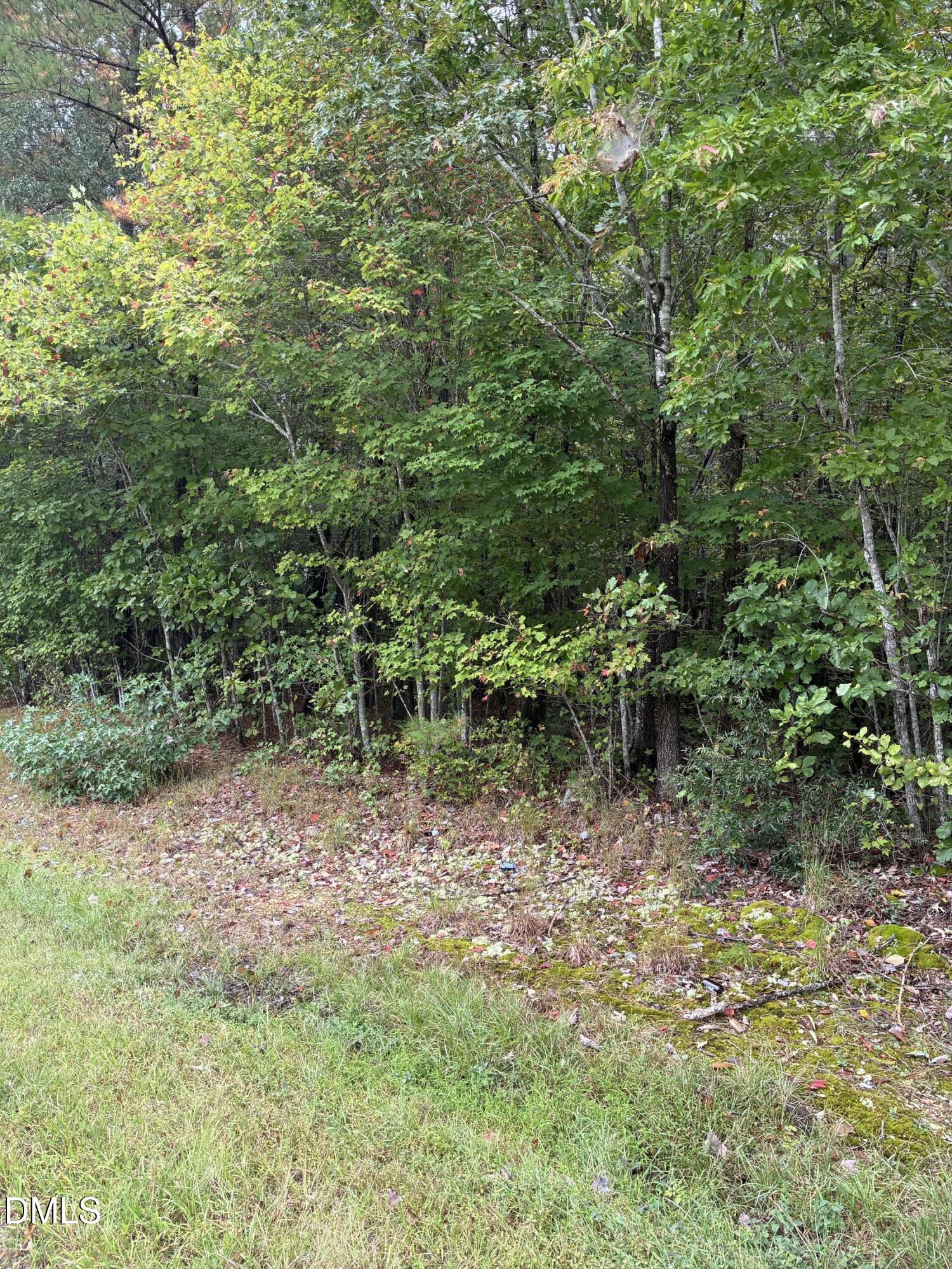 0 Gordon Moore Road Franklinton, NC 27525 - Photo 2 of 6 a view of a yard with plants and large trees