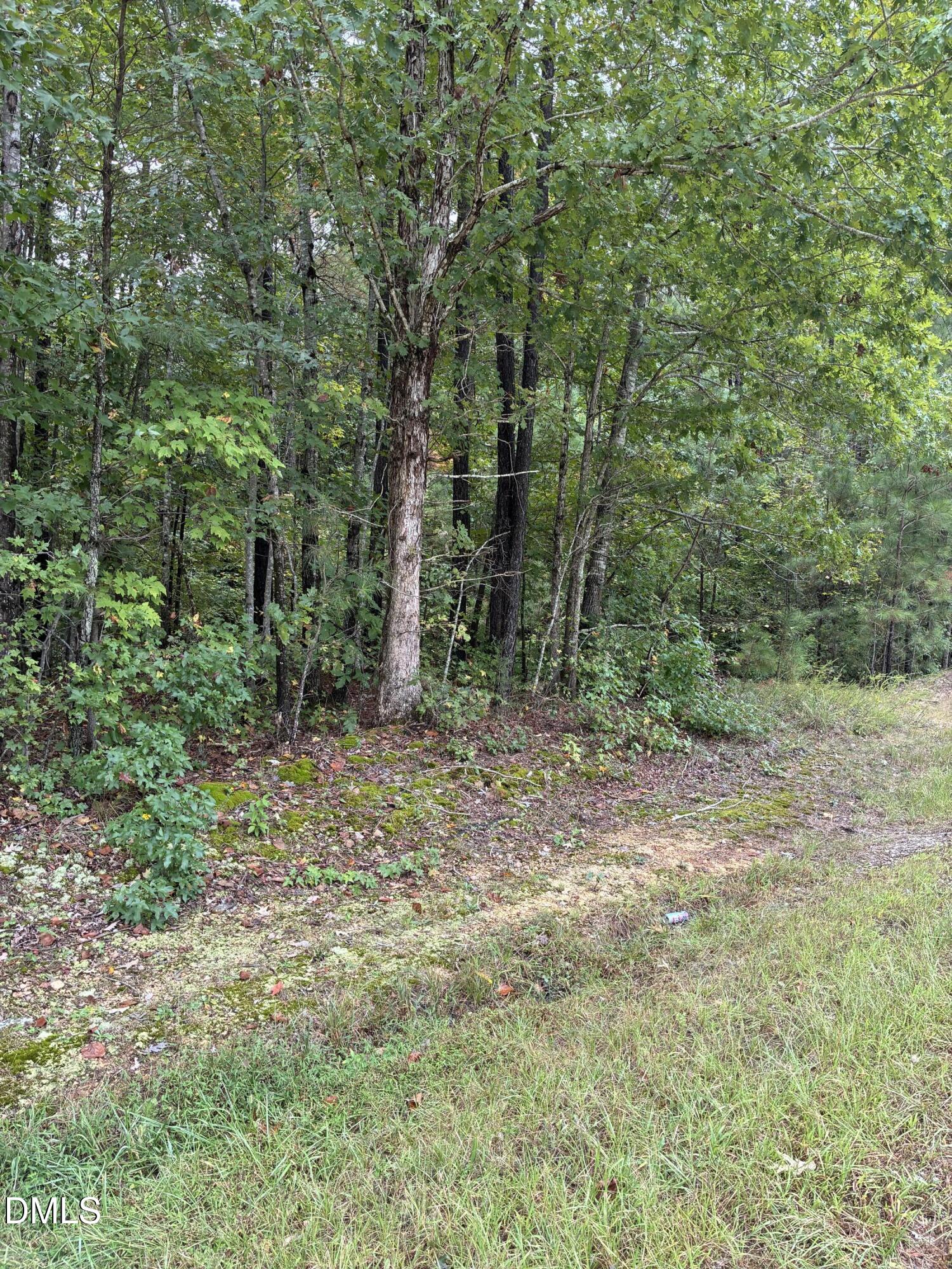0 Gordon Moore Road Franklinton, NC 27525 - Photo 3 of 6 a view of a forest with trees in the background