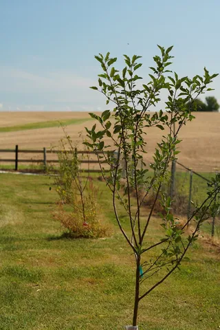 $459,900 | 22524 Luther Road, Sterling, IL 61081