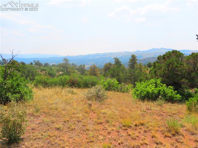 493 Cheyenne Road Florissant, CO 80816 - Photo 17 of 24 Gallery Image 17