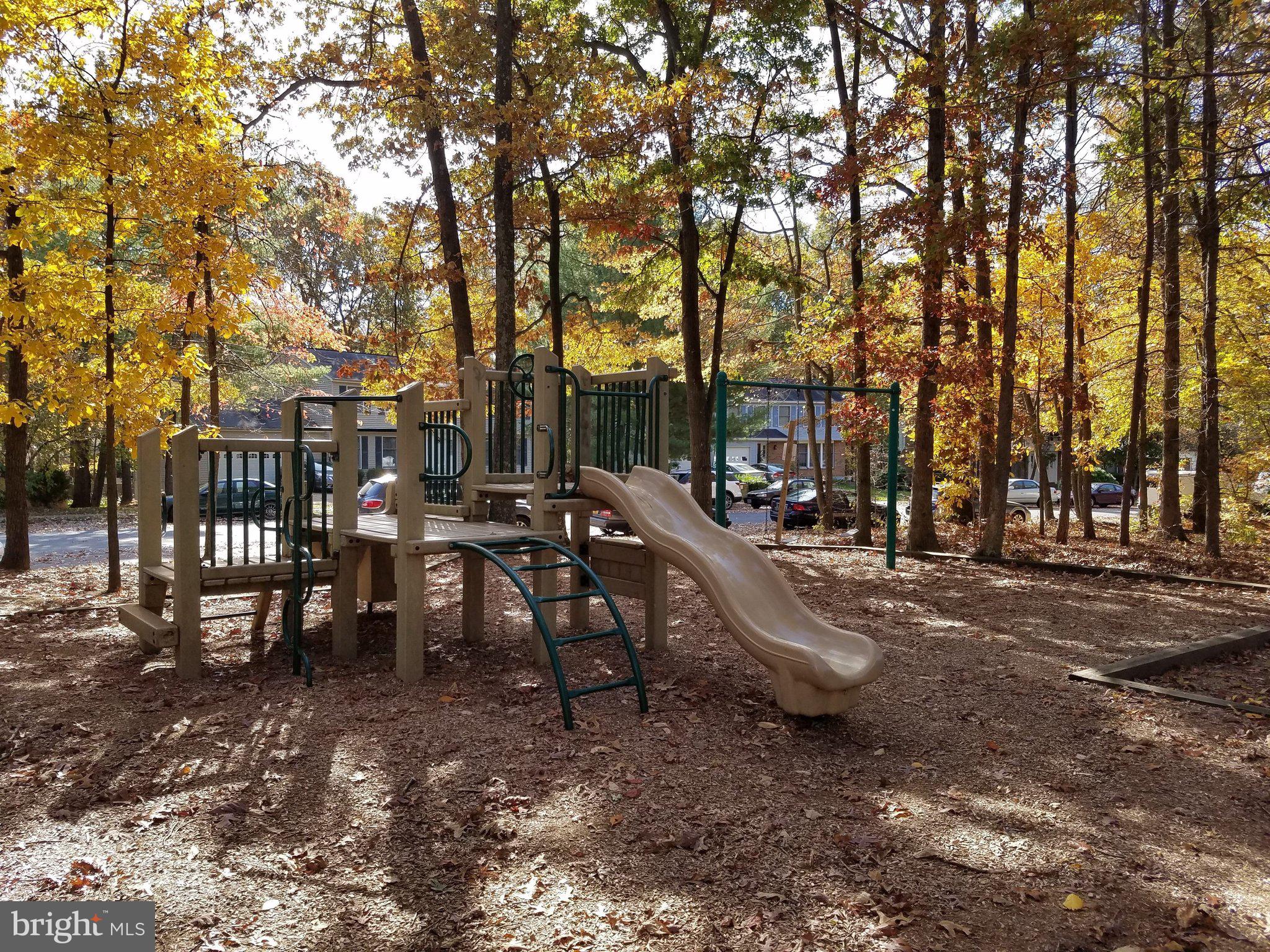 10430 Heritage Landing Road Burke, VA 22015 - Photo 51 of 67