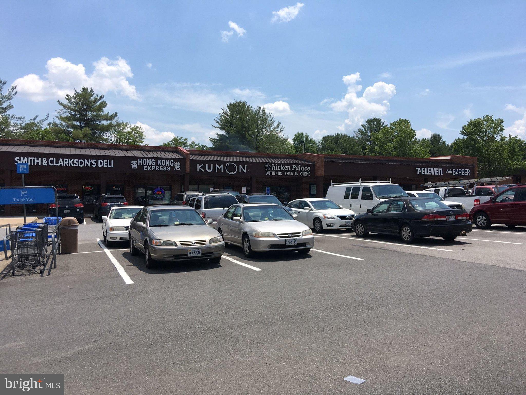 10430 Heritage Landing Road Burke, VA 22015 - Photo 58 of 67