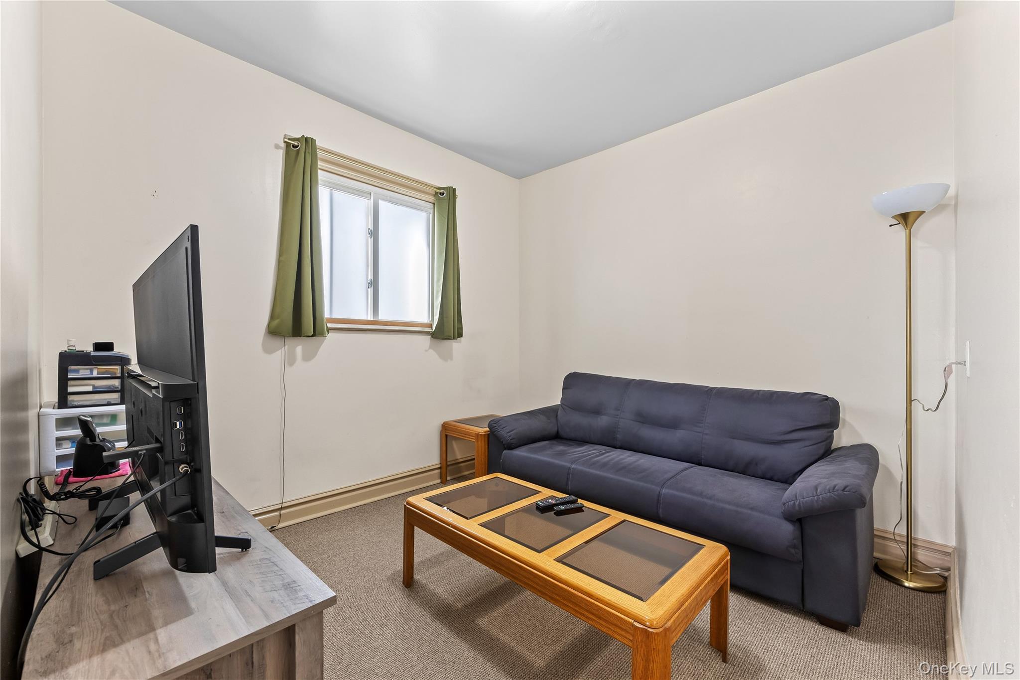91-49 86th Street Queens, NY 11421 - Photo 5 of 42 a living room with furniture and a flat screen tv