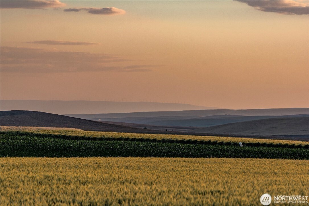 16 Bergevin Springs Road Walla Walla, WA 99362 - Photo 4 of 14 a view of an ocean and beach