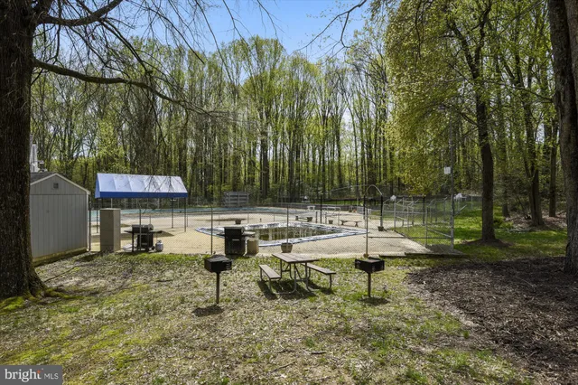 a view of a swimming pool with a garden and trees