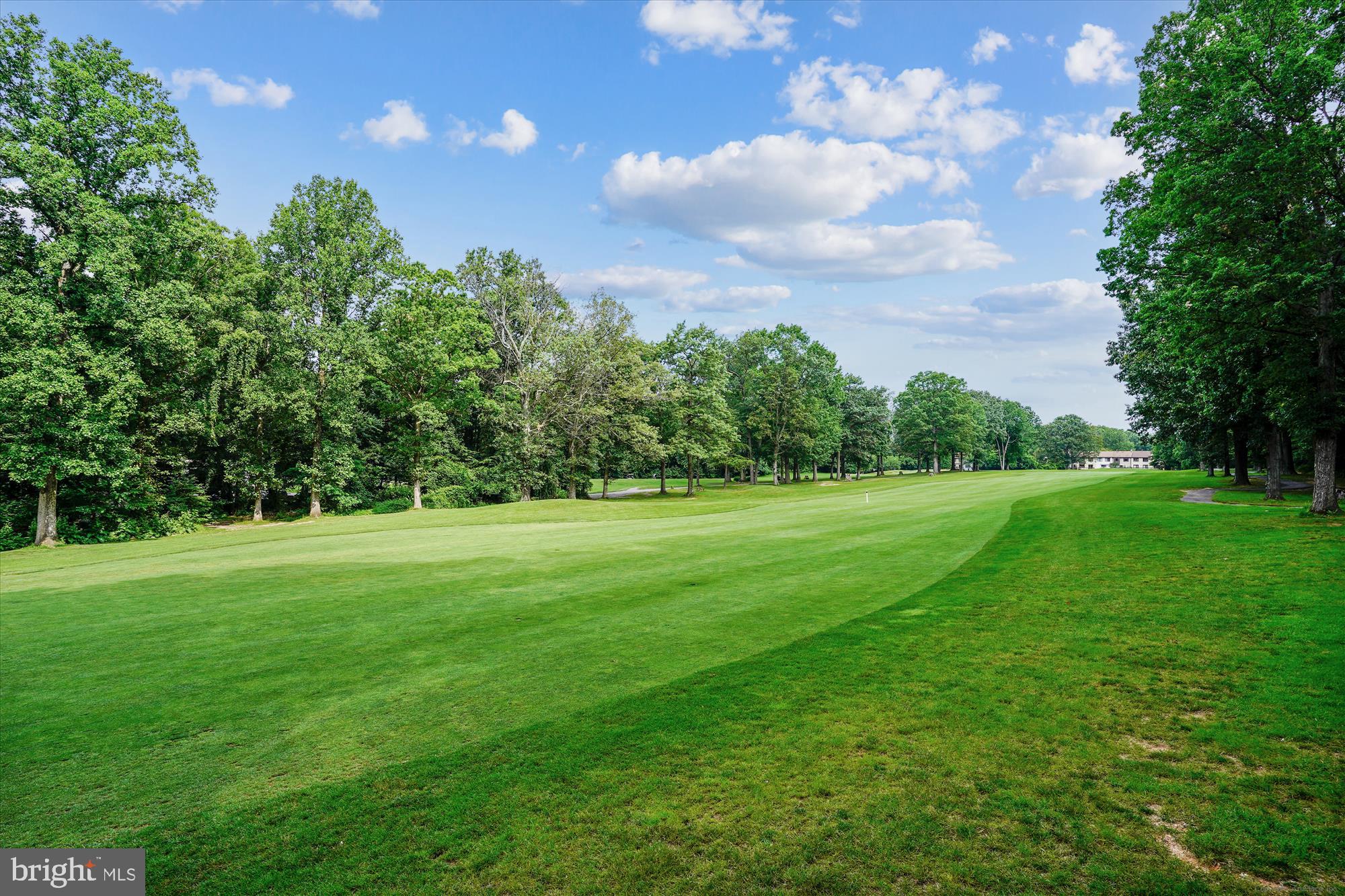 2613 Mountain Laurel Place Reston, VA 20191 - Photo 65 of 78 a view of grassy field with trees