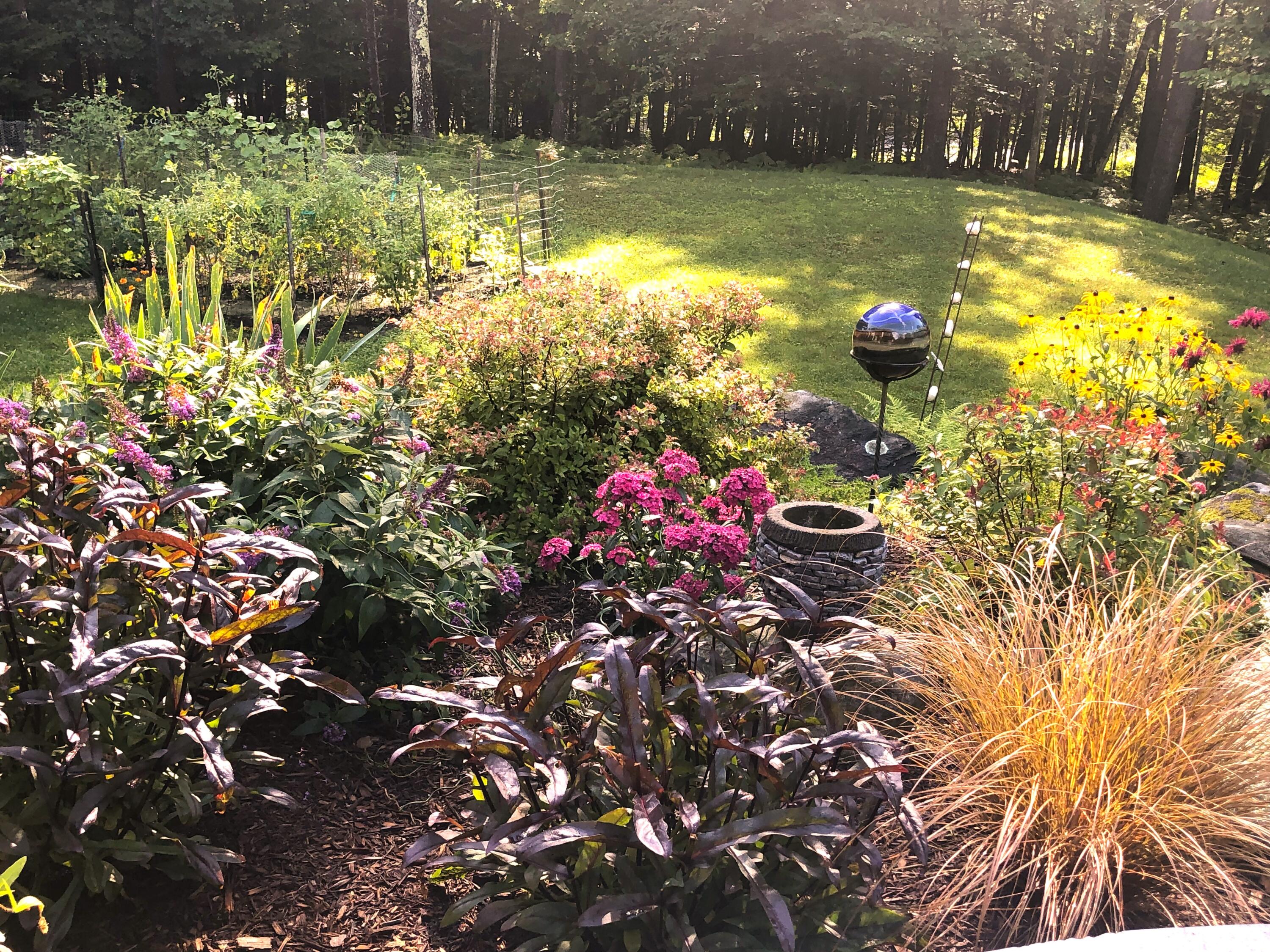 384 Allen Road Pownal, ME 04069 - Photo 59 of 61 IMG_5771
