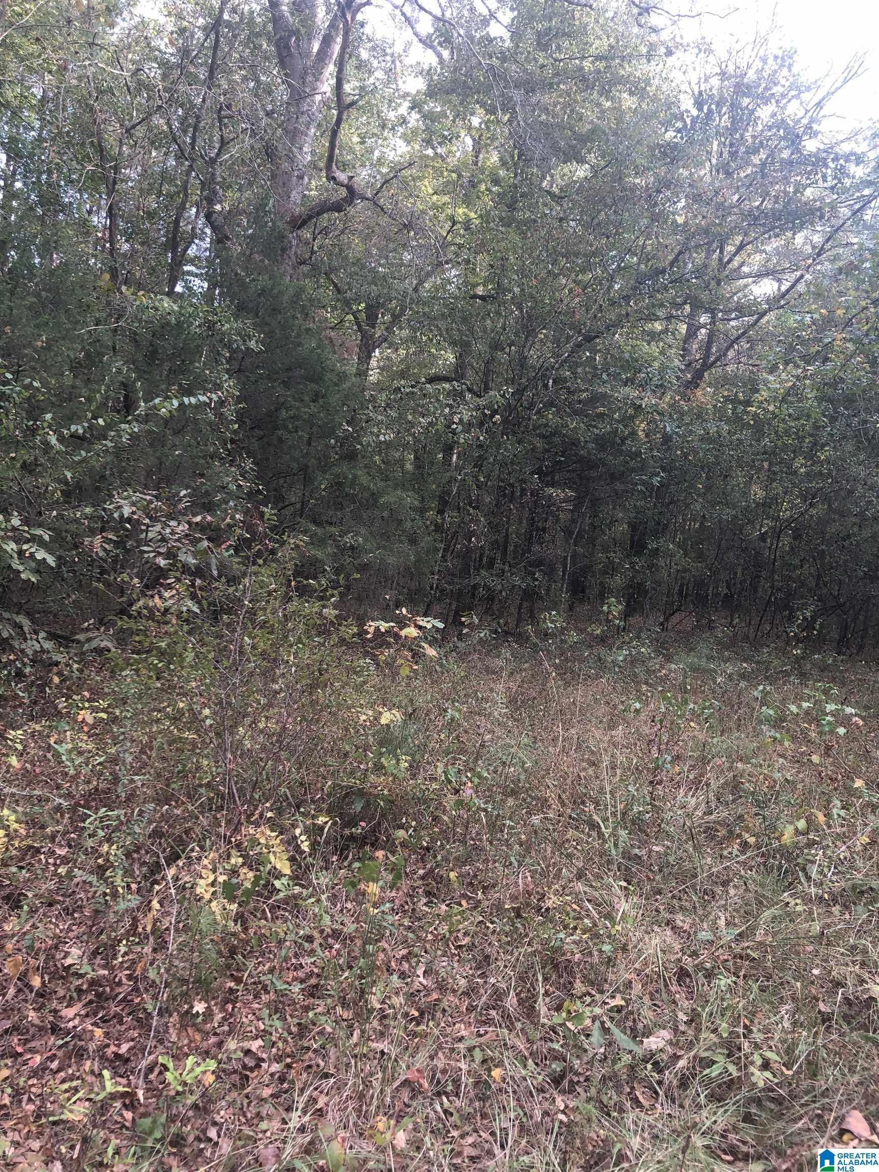 0 Highway 145, Unit 2 Clanton, AL 35046 - Photo 1 of 1