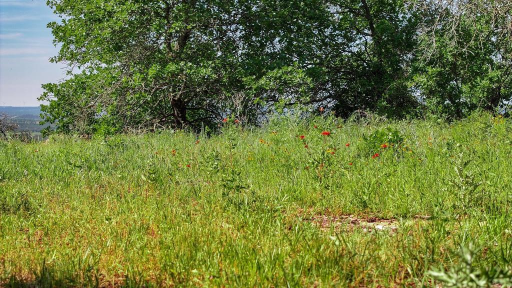 Tbd Lot 18.3 Tbd Road Gordon, TX 76453 - Photo 14 of 40 a view of a lush green space