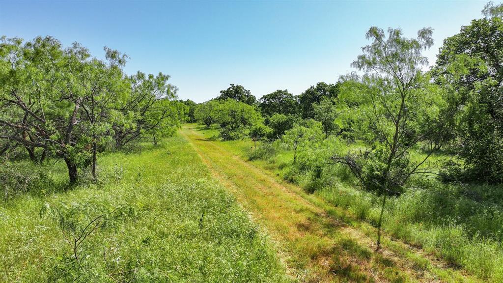 Tbd Lot 18.3 Tbd Road Gordon, TX 76453 - Photo 16 of 40 a view of a big yard with large trees
