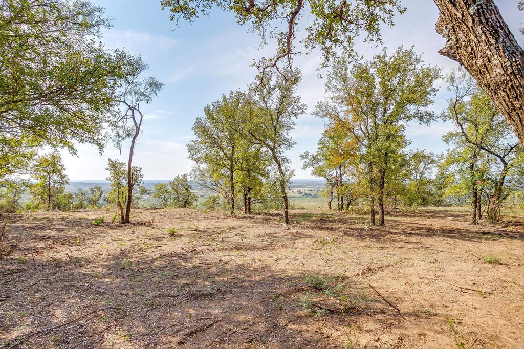 Tbd Lot 18.3 Tbd Road Gordon, TX 76453 - Photo 23 of 40 a view of dirt yard with trees