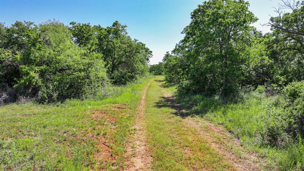 Tbd Lot 18.3 Tbd Road Gordon, TX 76453 - Photo 24 of 40 a view of a garden with a lake