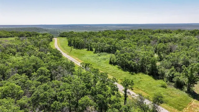 a view of a lush green forest with trees and houses in the back