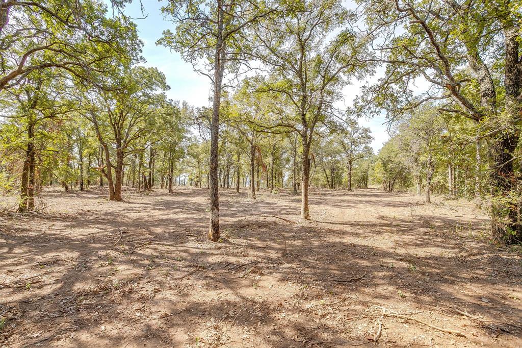 Tbd Lot 18.3 Tbd Road Gordon, TX 76453 - Photo 27 of 40 a view of a yard with trees