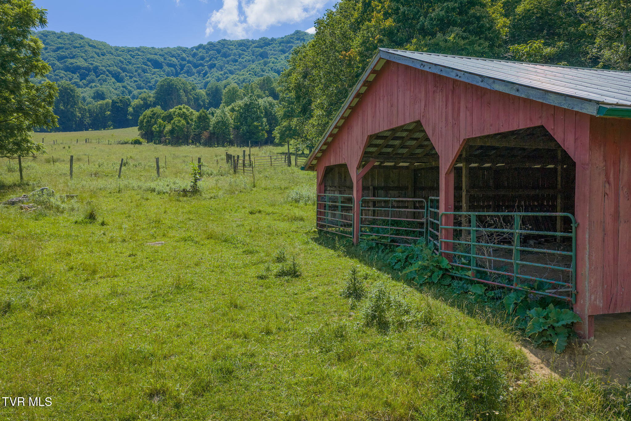 120 Teaberry Road Roan Mountain, TN 37687 - Photo 29 of 56 28-web-or-mls-DJI_20260612112542_0273_D