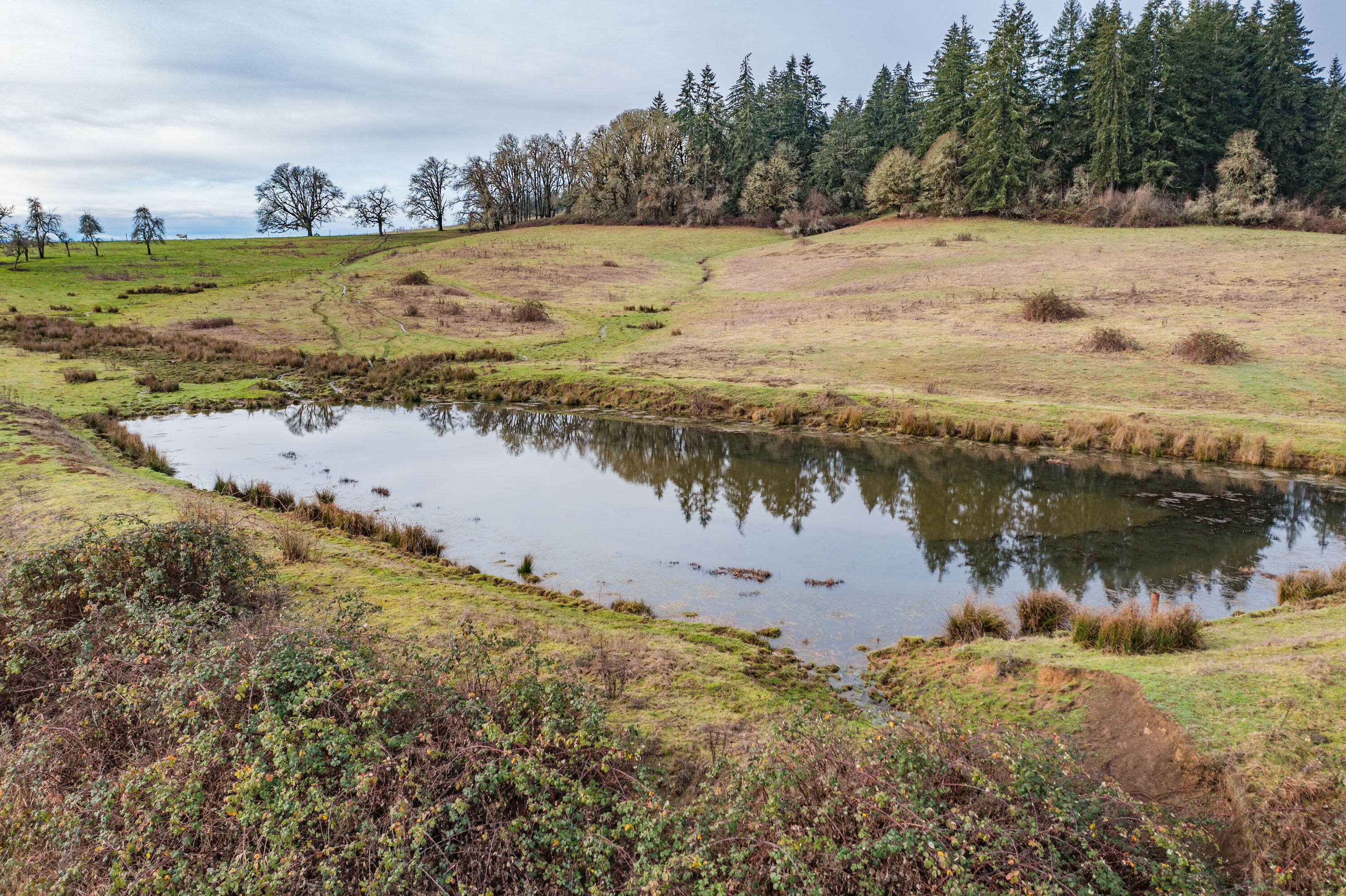 0 Airlie Road Monmouth, OR 97361 - Photo 12 of 33 Export-0818