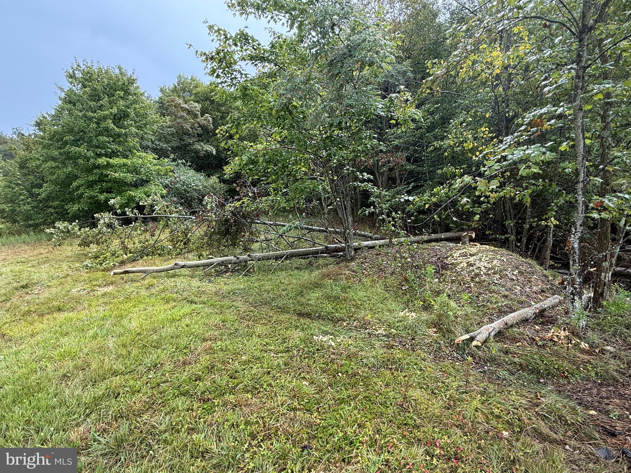 0 Pinnacle Road Keyser, WV 26726 - Photo 6 of 61