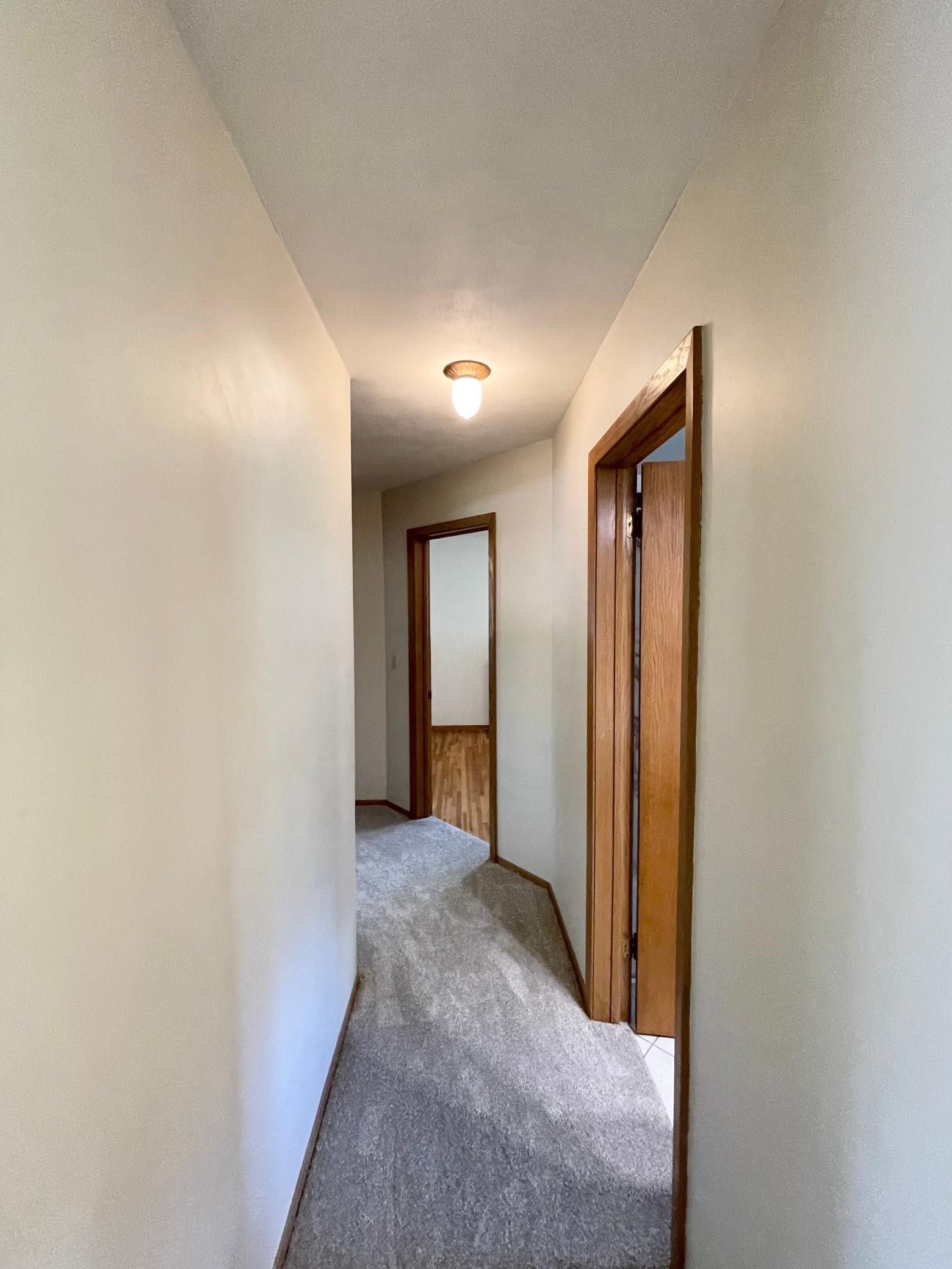 403 South Paffrath Avenue Springfield, MN 56087 - Photo 24 of 63
