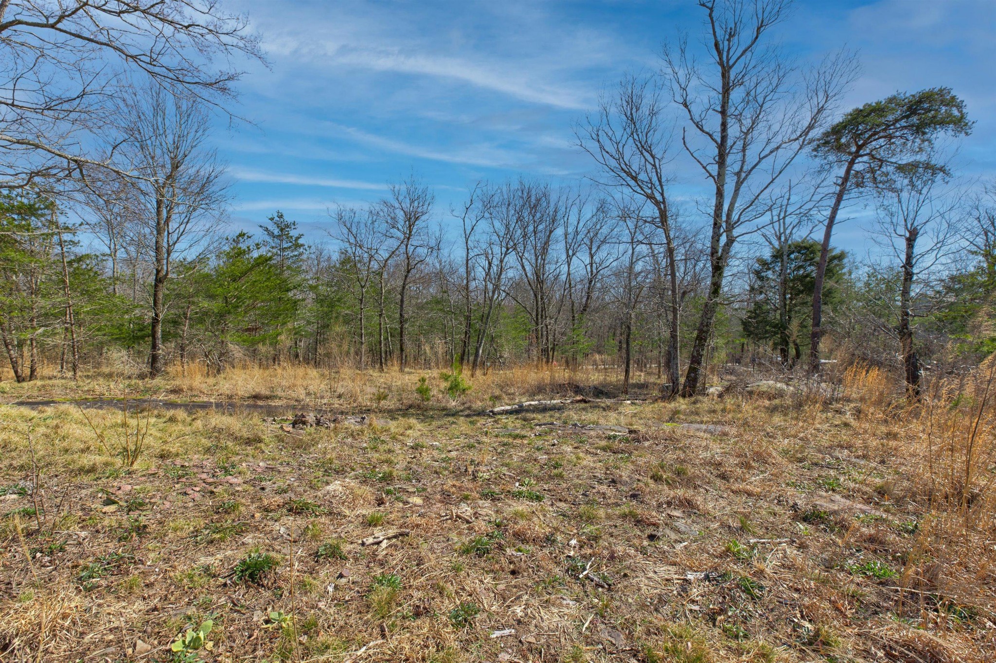 0 West Bluff Road Cloudland, GA 30731 - Photo 5 of 28 Gallery Image 5