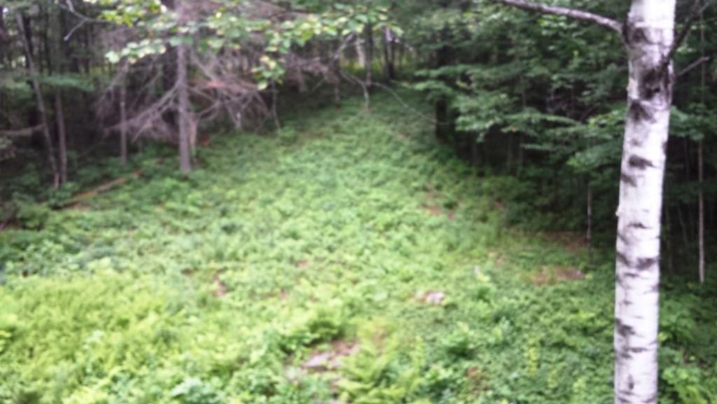 36 Curtis Brook Road Kingfield, ME 04947 - Photo 16 of 24 Photo