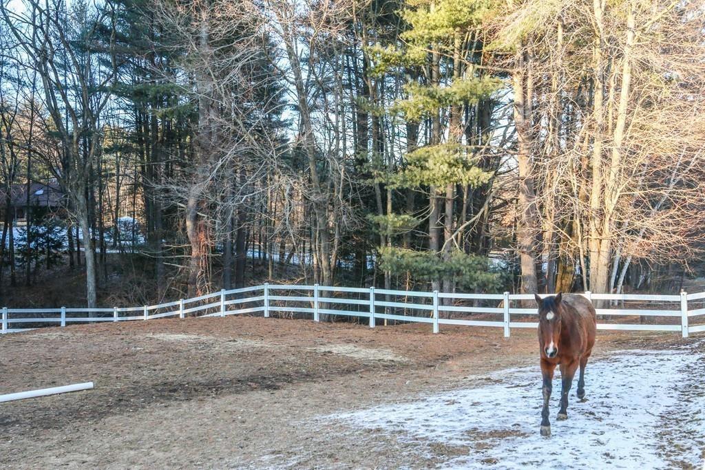 4 Revere Road Southwick, MA 01077 - Photo 39 of 42 Gallery Image 39
