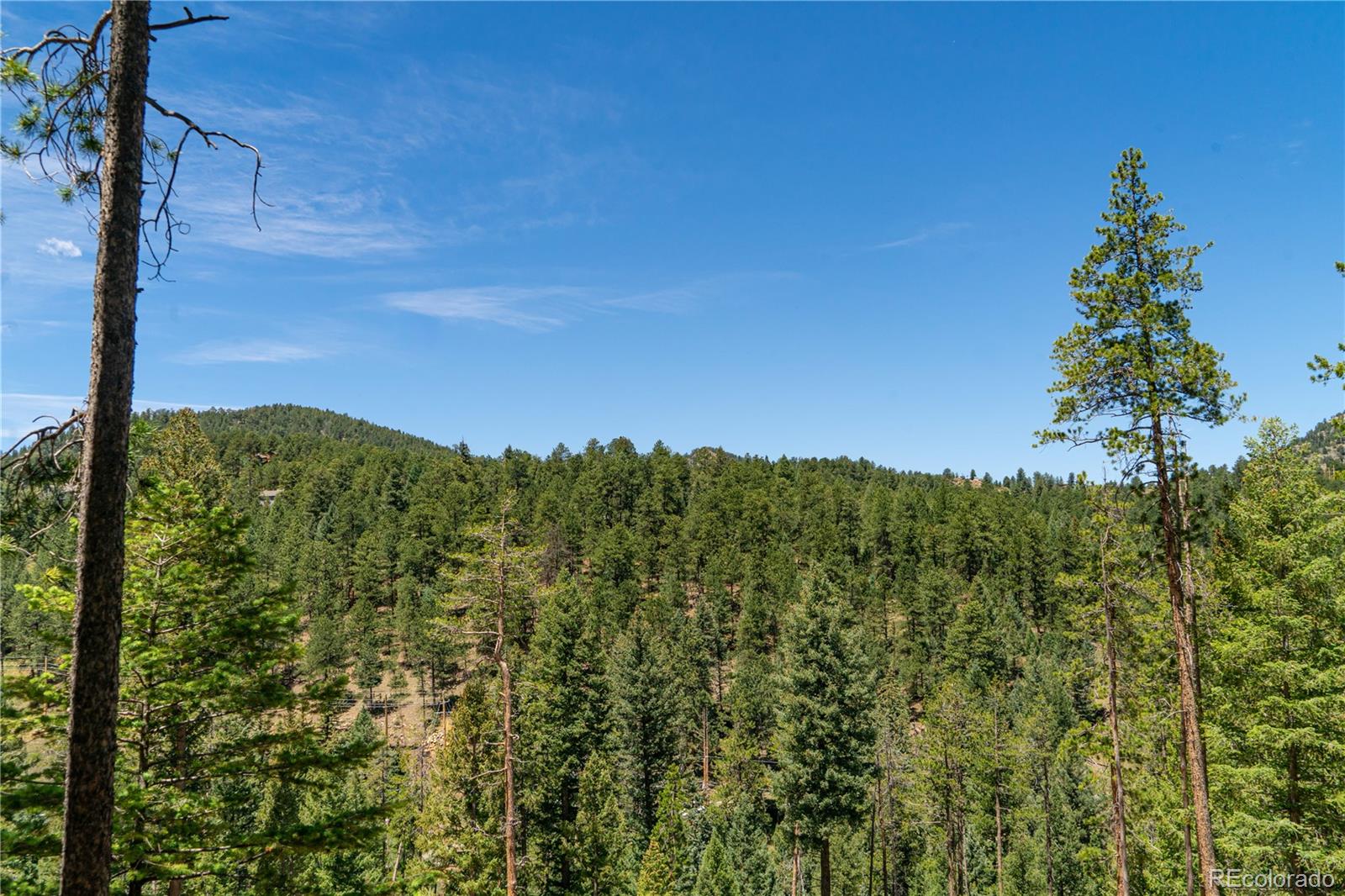 6814 Lynx Lair Road Evergreen, CO 80439 - Photo 1 of 19