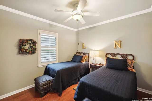 a view of a backyard with plants and large tree