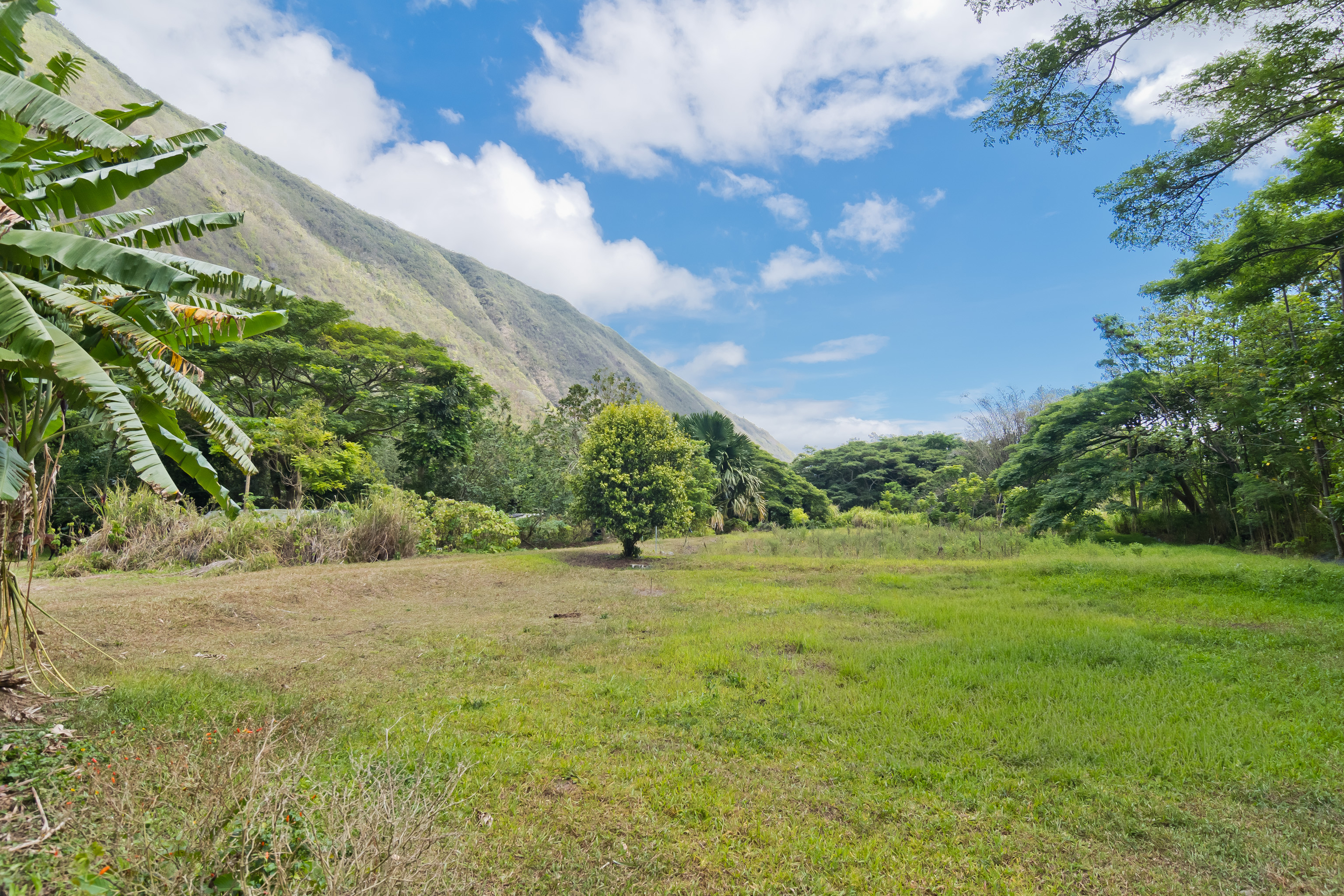 20 Waipio Valley Road Honokaa, HI 96727 - Photo 2 of 16