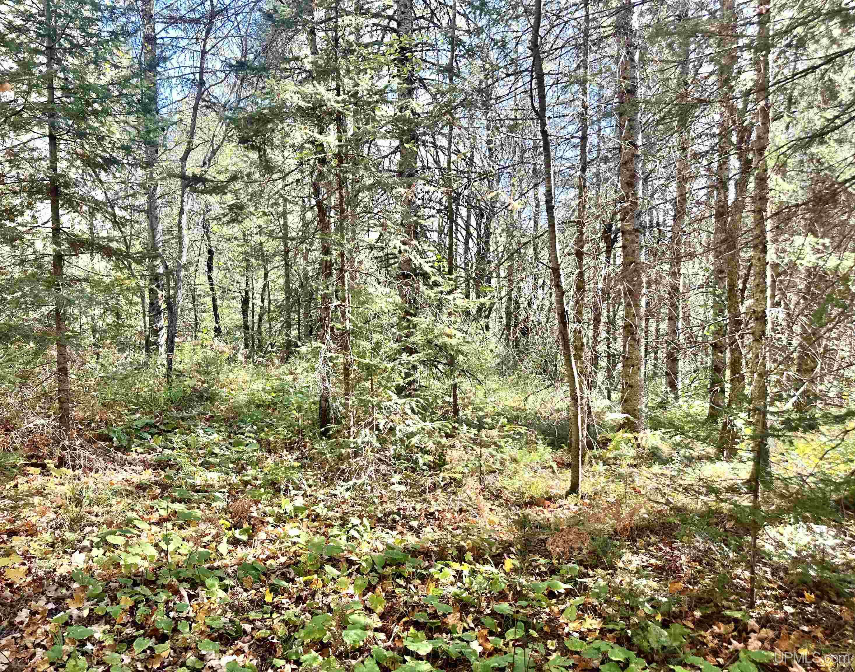 Tbd South Johnson Road Bessemer, MI 49911 - Photo 21 of 29 Gallery Image 21