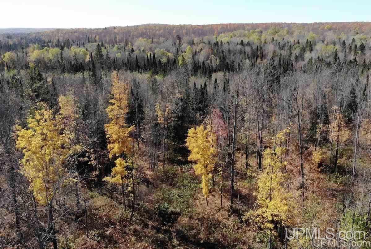 Tbd Ford Farm Road Skanee, MI 49962 - Photo 8 of 27