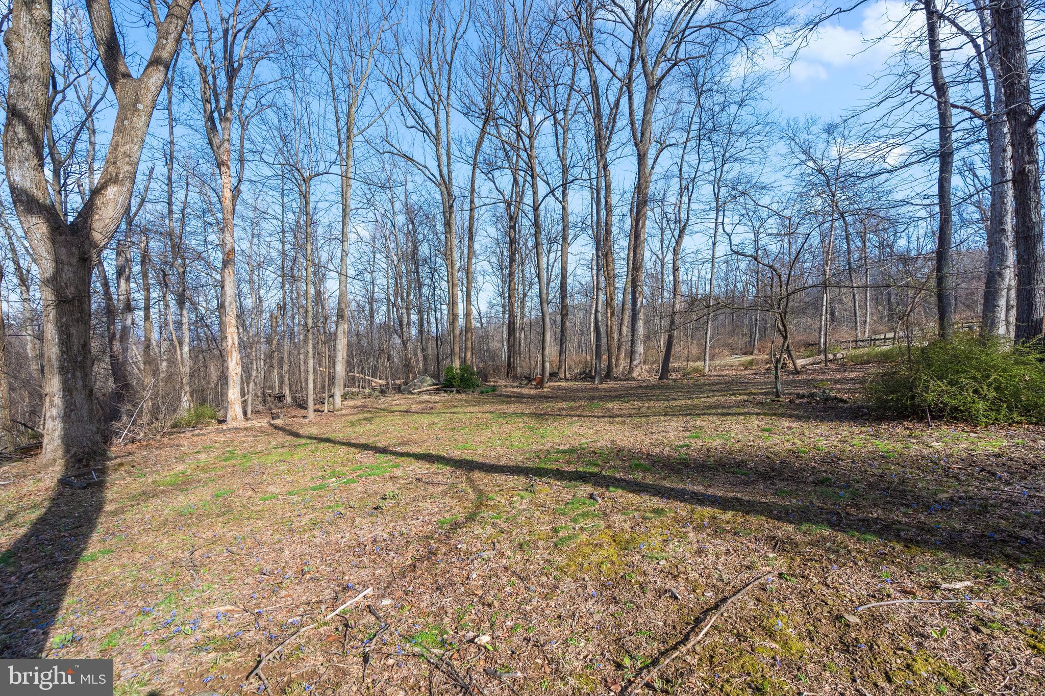 17641 Raven Rocks Road Bluemont, VA 20135 - Photo 91 of 109 The Lot is Surrounded by Mature Landscaping