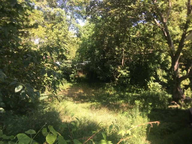 $13,500 | 504 Lucier Street, Murphysboro, IL 62966