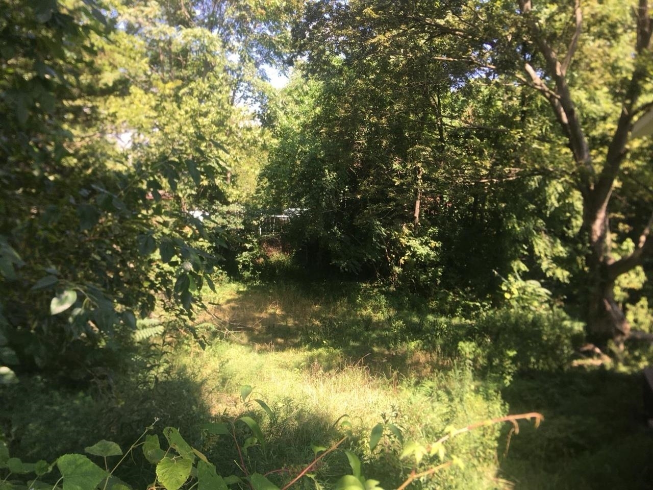 504 Lucier Street Murphysboro, IL 62966 - Photo 3 of 5 a view of lake