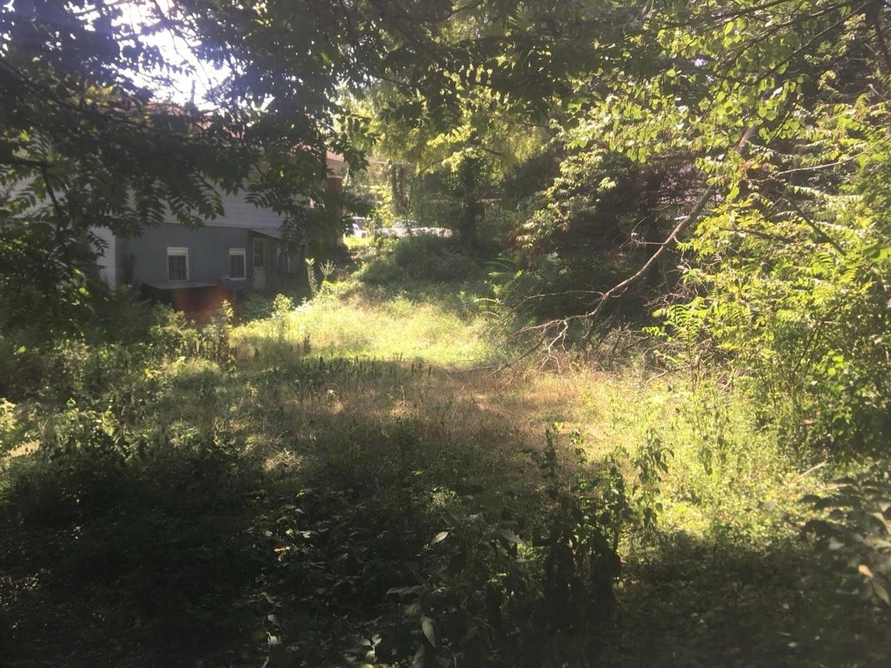 504 Lucier Street Murphysboro, IL 62966 - Photo 4 of 5 a view of yard from a tree