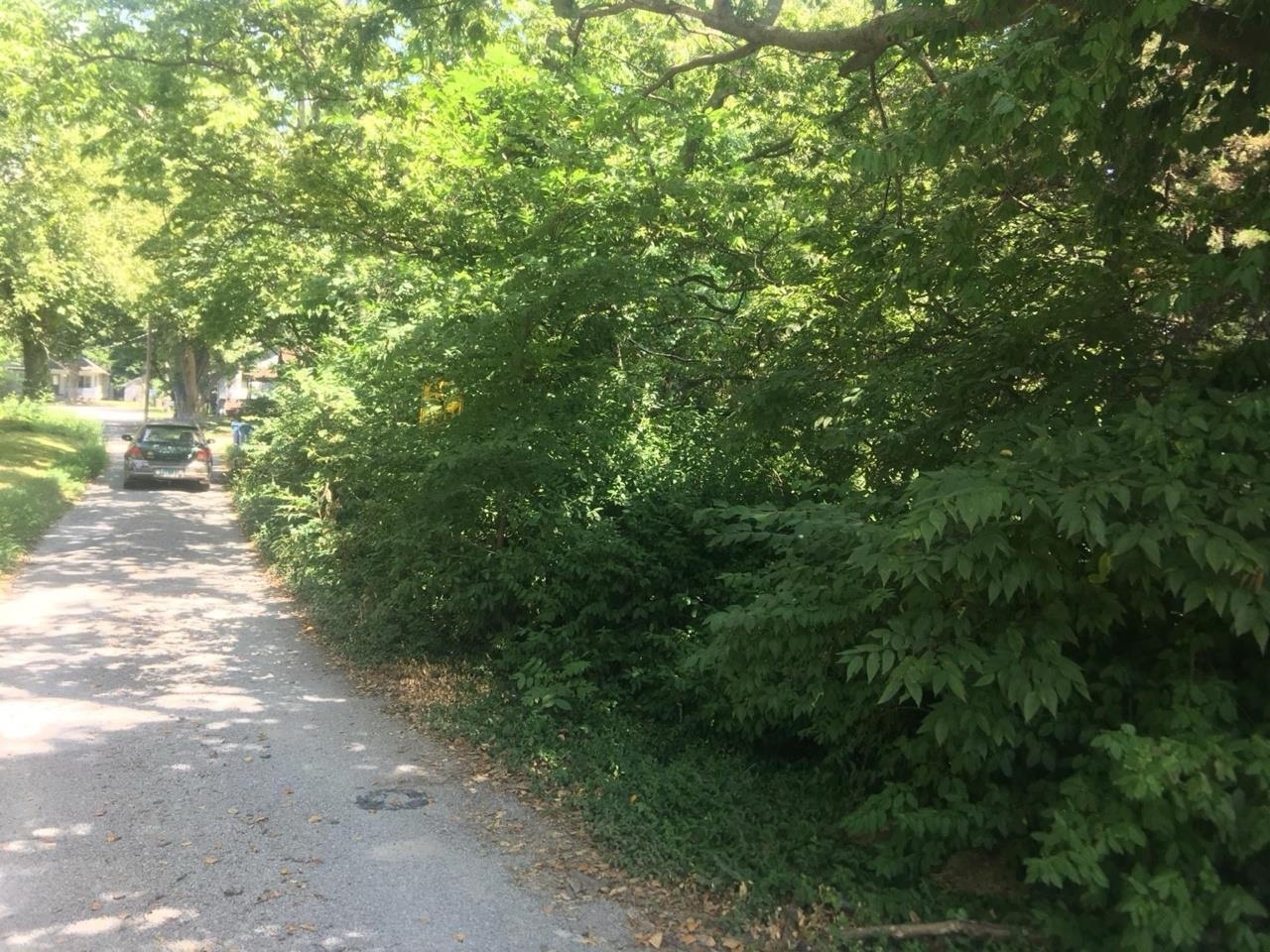 504 Lucier Street Murphysboro, IL 62966 - Photo 5 of 5 a view of a yard with plants and trees