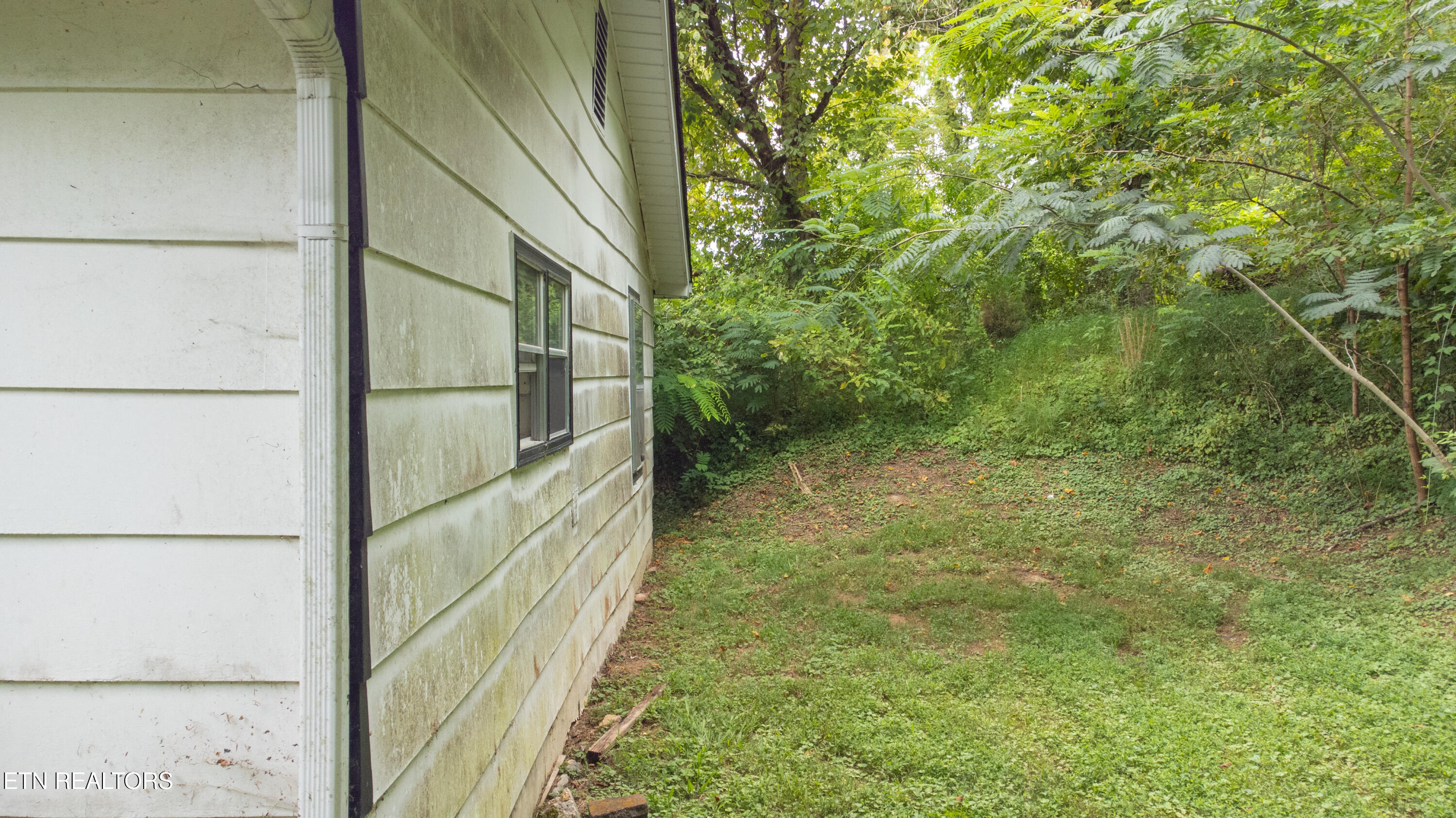 295 Carroll Hollow Road Clinton, TN 37716 - Photo 11 of 20 Carroll Hollow Road-9