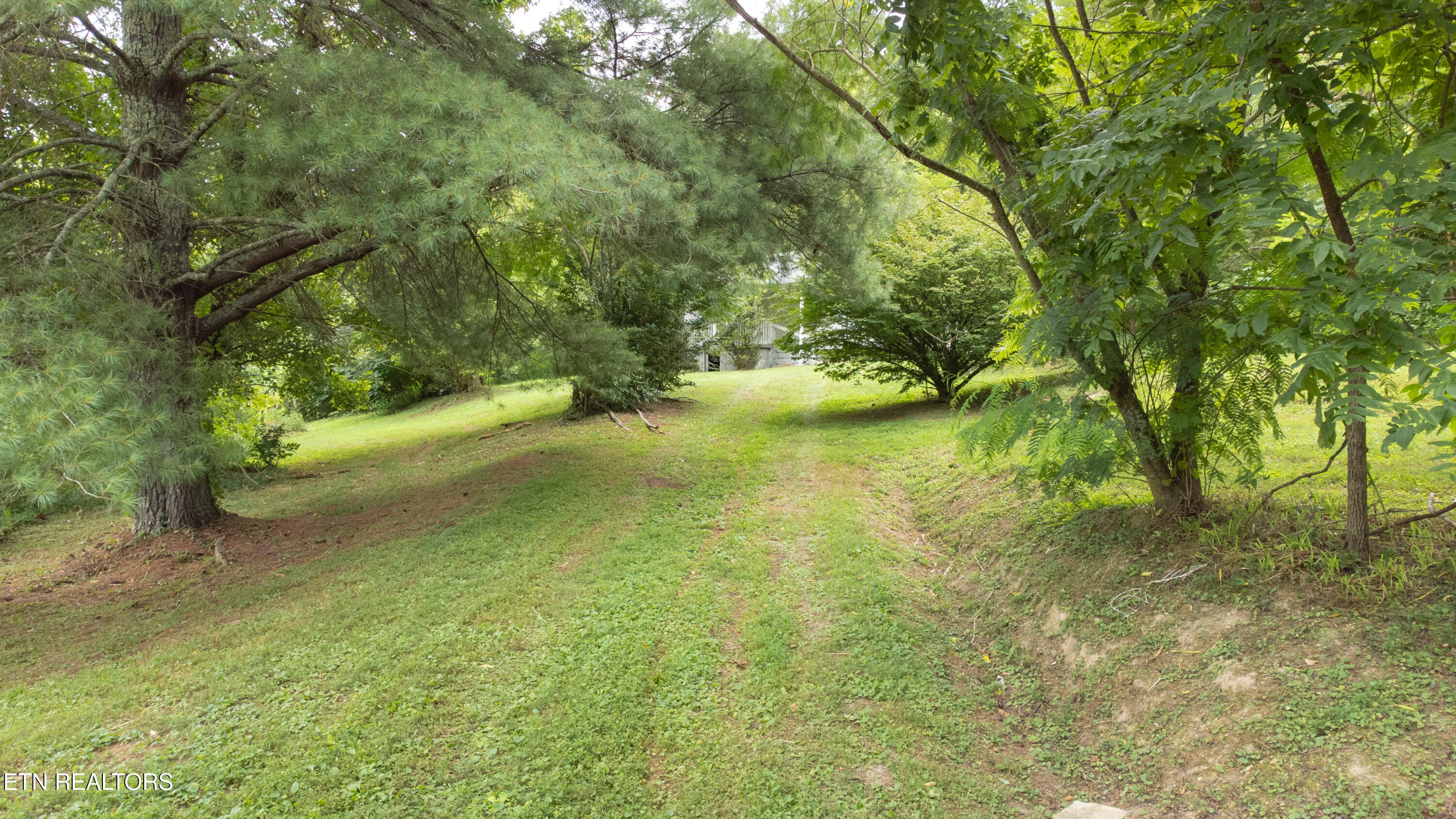 295 Carroll Hollow Road Clinton, TN 37716 - Photo 2 of 20 Carroll Hollow Road-1