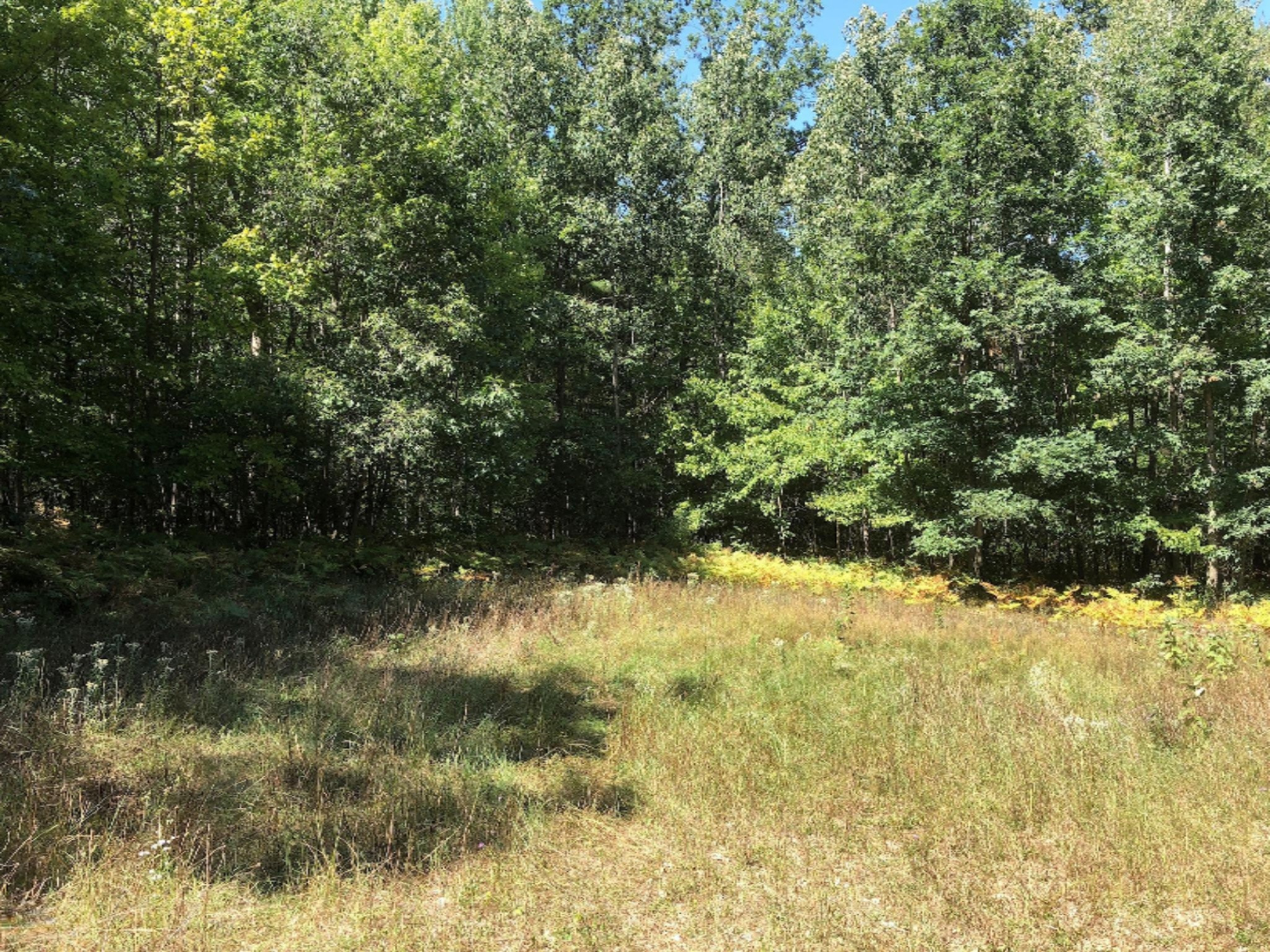 3745 Clements Road Brethren, MI 49619 - Photo 1 of 6 Sexton 10 ac (14)