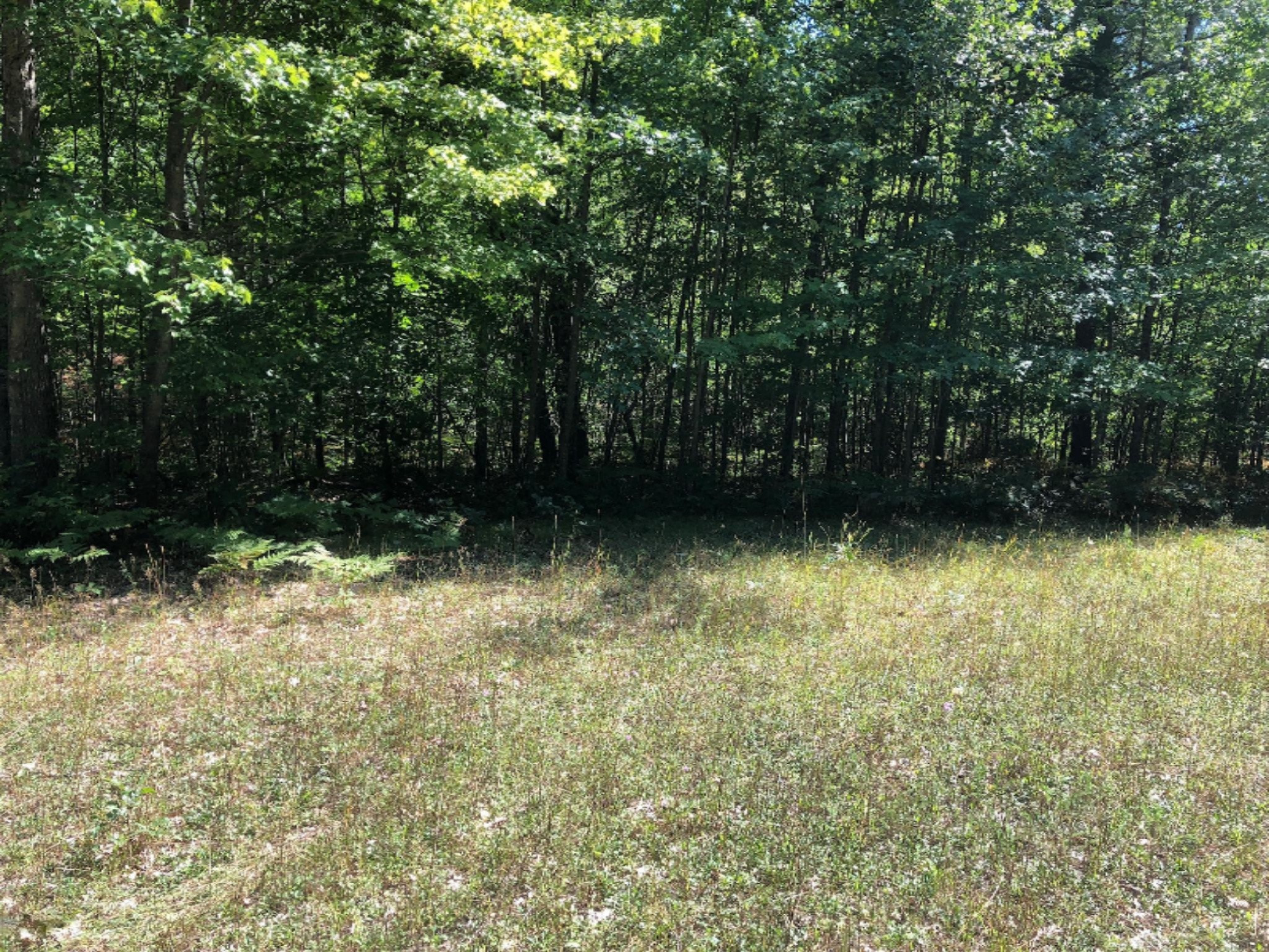 3745 Clements Road Brethren, MI 49619 - Photo 2 of 6 Sexton 10 ac (11)